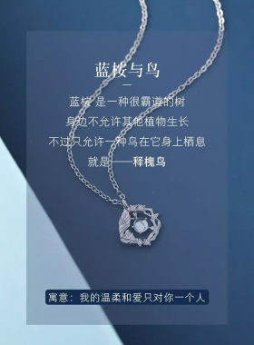 蓝桉与鸟S999纯银项链女足银