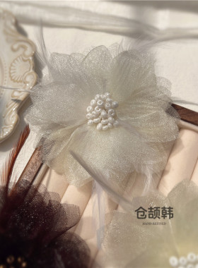 小仙女羽毛气质淑女胸针