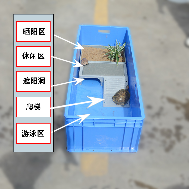 乌龟缸造景专用饲养箱鱼池龟鱼一体混养饲养箱龟箱繁殖塑料周转箱 - 图1