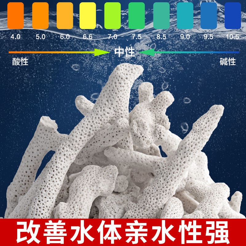 天然珊瑚砂鱼缸过滤材料菲律宾珊瑚沙珊瑚骨提高PH滤材净水海水沙-图2