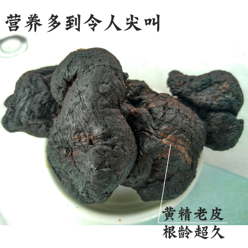 九华山野生黄精九晒九蒸九制肉头油头鸡头多花黄精片茶泡茶中药材 - 图2