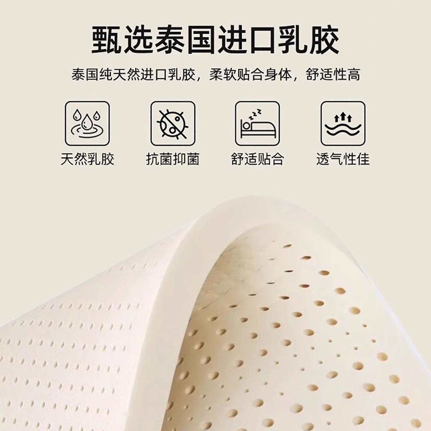 德国新款乳胶记忆棉床垫软垫家用卧室榻榻米海绵租房专用床褥垫子 - 图0