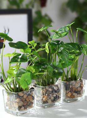 创意人工植物假饰品客厅办公室桌面小盆栽室内装饰花多肉的家居配