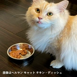 Herrmann Herrmann Hermann Nature Rebirth Pett Cats и собачья органическая еда еда Slunkee