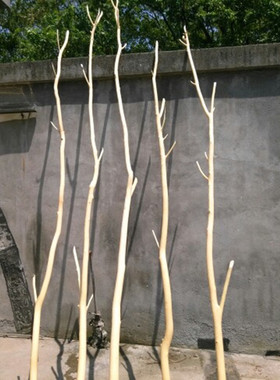 干树枝干枝艺术枯枝枯树干天然去皮本色摆件造型衣架树枝装饰包邮