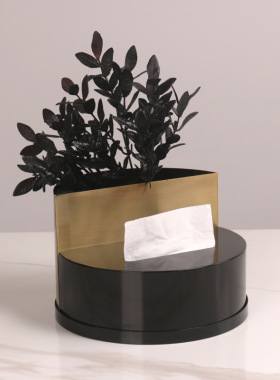 轻奢干花花器二合一纸巾盒摆件创意客厅桌面别墅样板间摆设装饰品