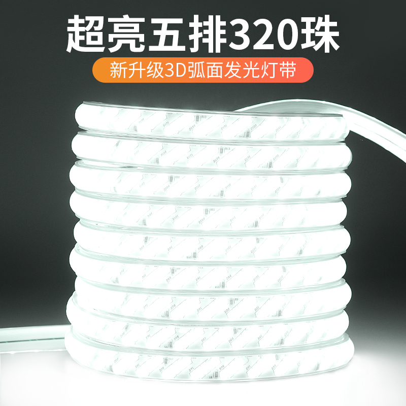 LED灯带220v户外防水地下室隧道工地亮化装饰照明白光灯条24V36V - 图0