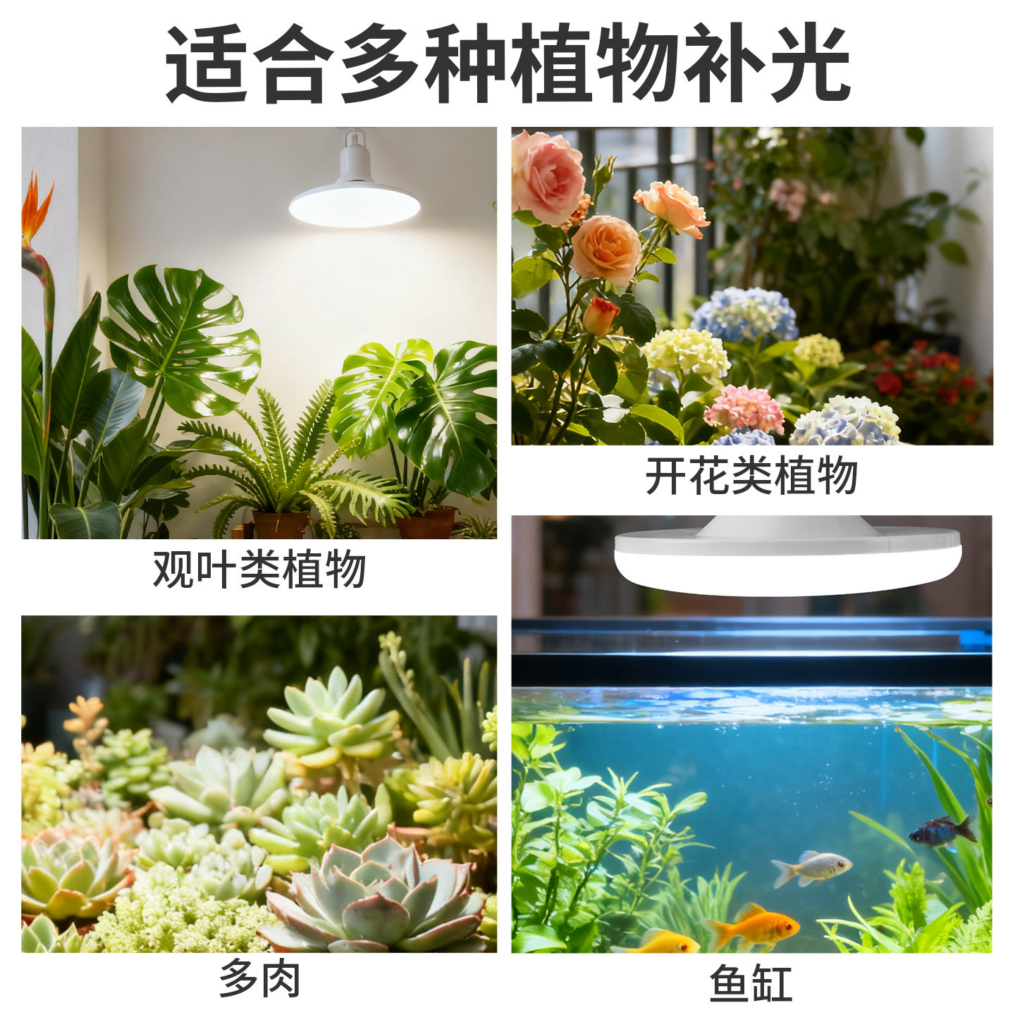植物补光灯大棚蔬菜花卉led室内绿植专用仿太阳全光谱园林生长灯,淘宝优惠券,粉丝福利购,淘宝优惠卷
