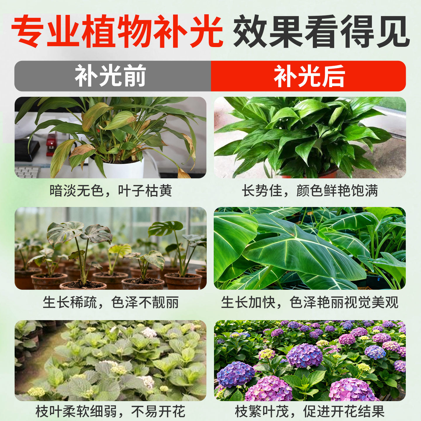 植物补光灯大棚蔬菜花卉led室内绿植专用仿太阳全光谱园林生长灯,淘宝优惠券,粉丝福利购,淘宝优惠卷