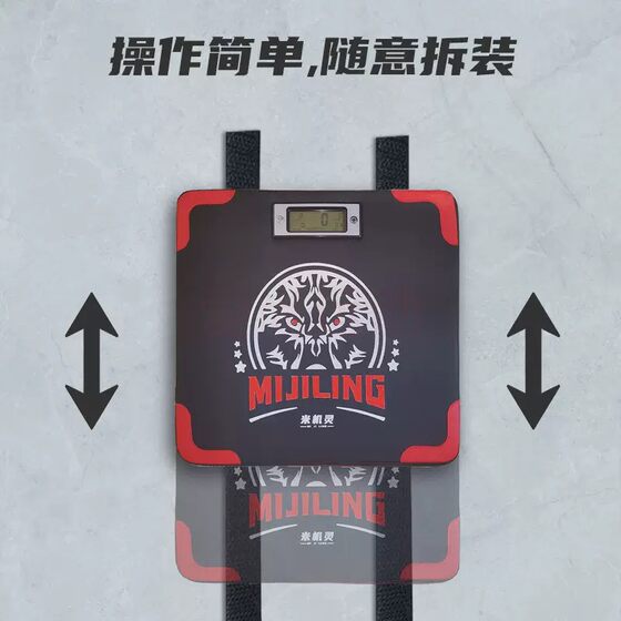 Bushiye Smart Wall Target Boxing Sandbag Home Training