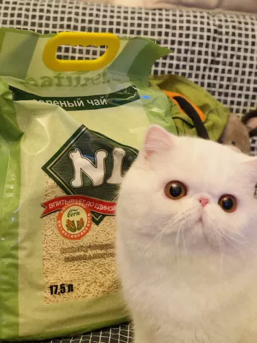 N1 Tofu Cat Sand Big Bag Big Peach Corn Green Tea Actived Carbon Lixed Fragrance, дезодорированная, без пыль