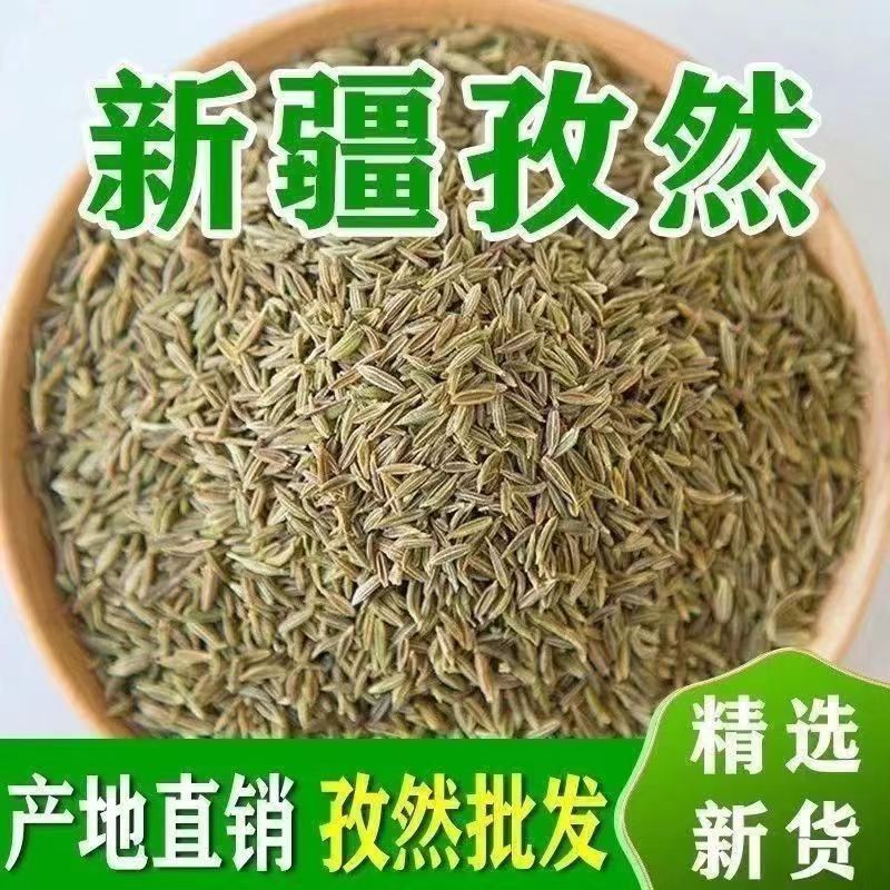 新疆吐鲁番小粒孜然粒儿500g商用孜然种籽粗子然粉香料大粒羊肉串 - 图2