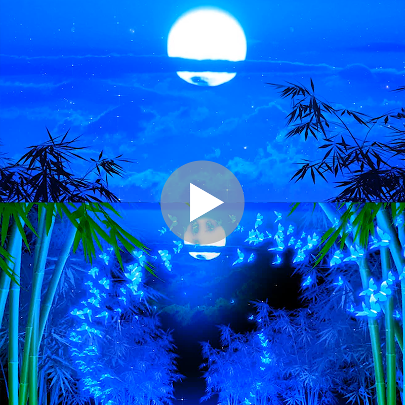 月光下的凤尾竹C调降B葫芦丝伴奏演出舞蹈led高清背景视频素材,淘宝优惠券,粉丝福利购,淘宝优惠卷