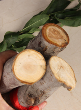 天然桃木粗细门窗阳台客厅摆件