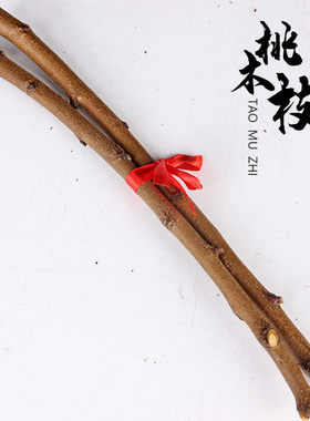 宝宝桃木摆件肥城桃木树枝