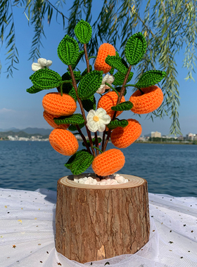 成品手工编织年桔盆栽