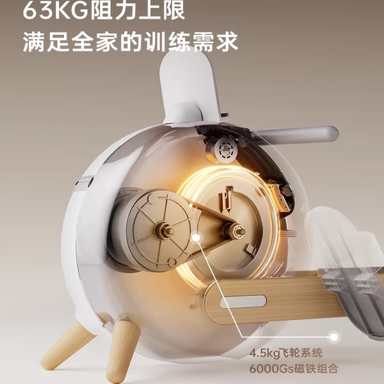 Youmei Intelligent Self-powered Rowing Machine R6