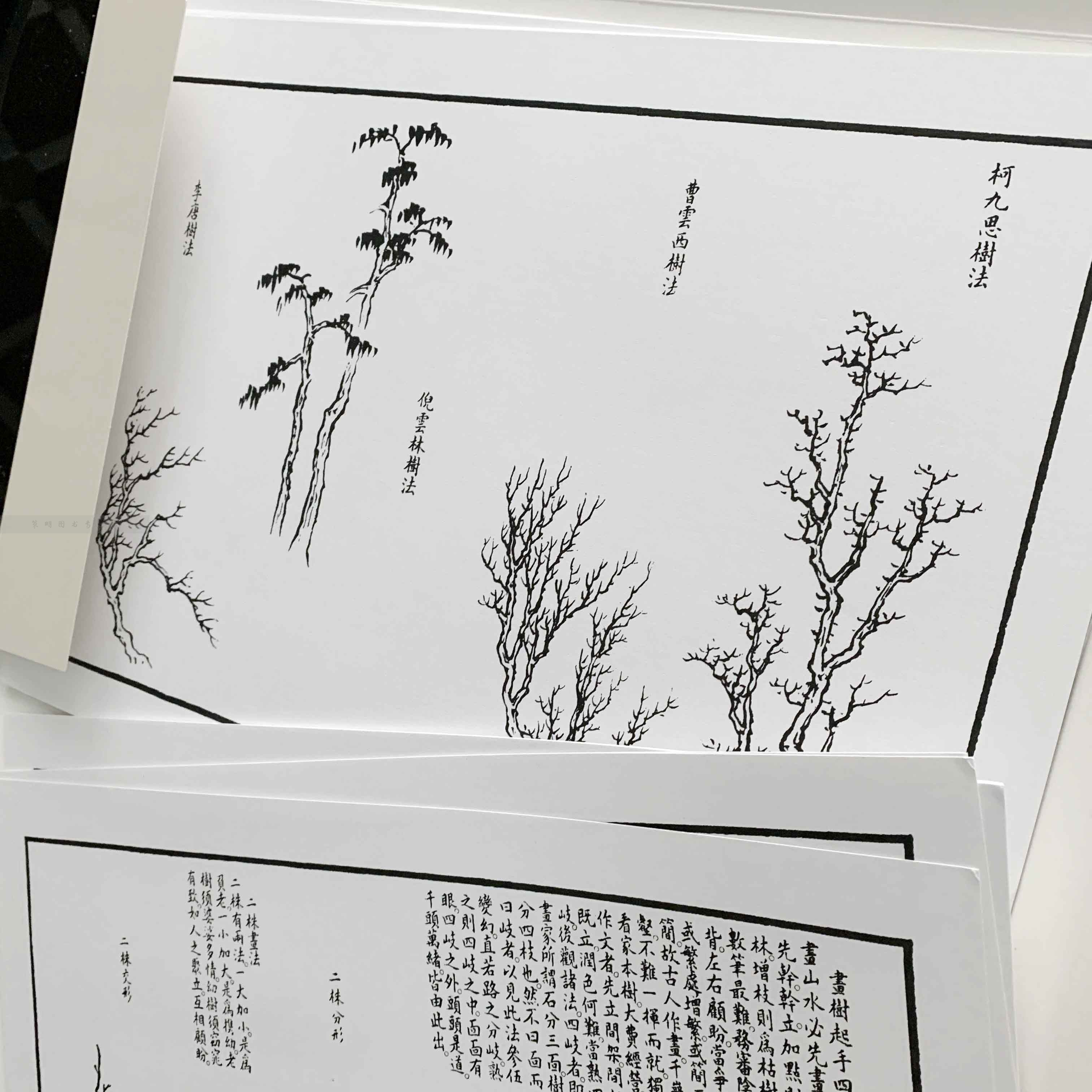 芥子园画谱树谱精选放大版国画临摹画册页单片装帧 芥子园画传全集康熙原版初学者中国画入门绘画教材自学零基础技法教程 - 图2