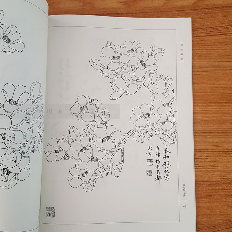 玉兰春色/唯美线描 郝良彬绘 工笔花卉白描底稿花鸟画临摹画稿国画水墨画工笔白描线描画绘画技法教程书籍 天津杨柳青画社 - 图3