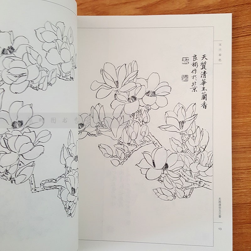 玉兰春色/唯美线描 郝良彬绘 工笔花卉白描底稿花鸟画临摹画稿国画水墨画工笔白描线描画绘画技法教程书籍 天津杨柳青画社 - 图1