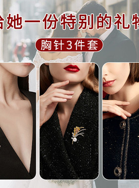 高级感轻奢一周胸针套装高档防走