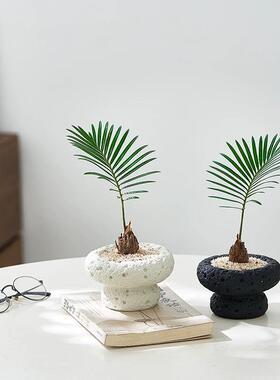 ins风创意花盆微型盆栽小苗盆ins高颜值花卉绿植桌面阳台花盆