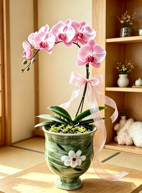 中古风油画花朵陶瓷花盆高级阳台室内陶盆绿植盆粗陶复古透气小盆