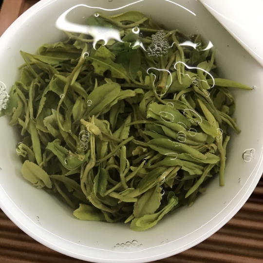 2024正宗青岛崂山绿茶茗苑春新茶明前特级茶农手工茶浓香礼盒500g - 图1