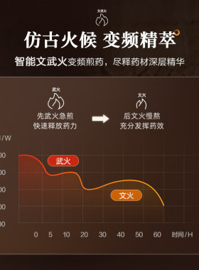 小熊中药电煎壶熬中药砂锅全自动家用煎锅煎药壶药罐养身煮中药煲