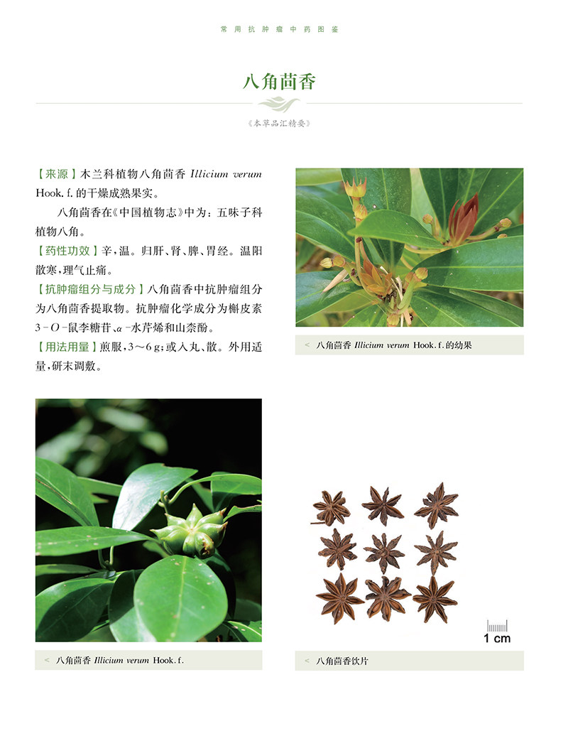 正版精装 常用抗肿瘤中药图鉴 兼具学术价值和鉴赏价值的中药图鉴 徐宏喜 汪选斌主编 上海科学技术出版社9787547855126