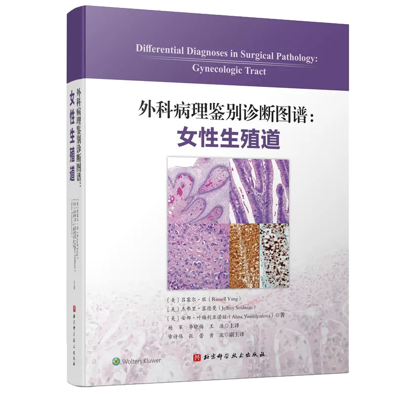 现货 两本套 外科病理鉴别诊断图谱 女性生殖道 吕塞尔 旺/Blaustein女性生殖道病理学第7版 薛德彬 北京科学技术出版社 - 图1