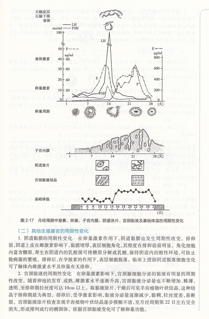 正版现货 妇产科护理学 第3版/本科中医药类/配增值十四五规划教材第四轮 韩叶芬单伟颖人民卫生出版社9787117316132