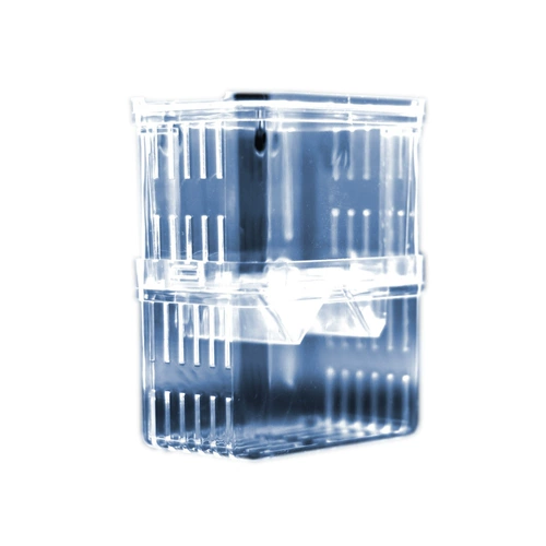 Коробка для размножения рыбы павлина