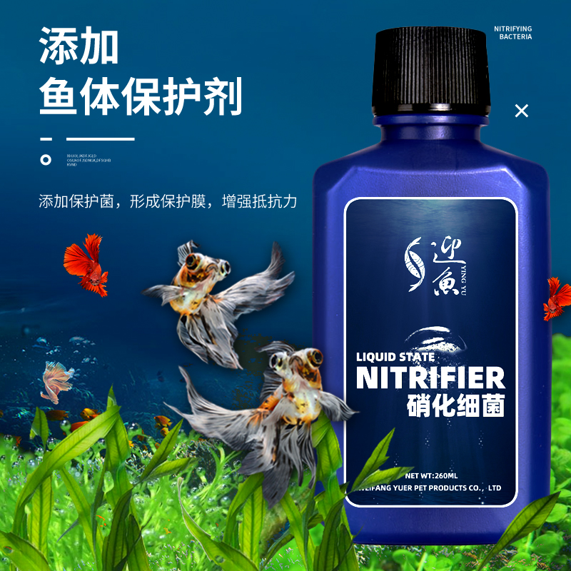 硝化细菌鱼缸净化水质稳定清澈剂养鱼水族用品液体消化活菌净水剂 - 图2