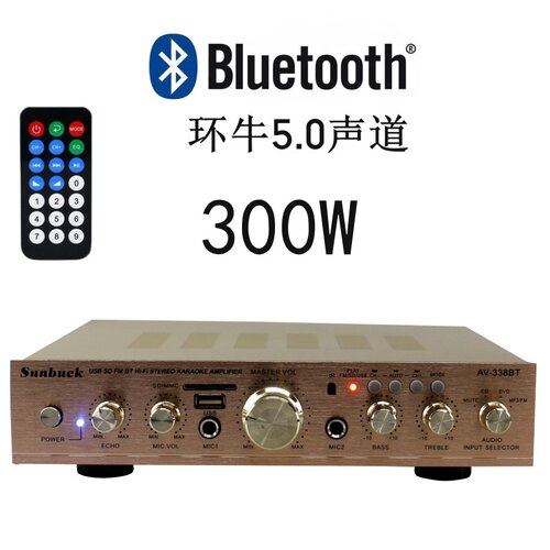 迷你小型功放机多功能插卡蓝牙家用车载功放12伏220V - 图3