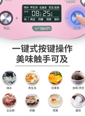 多功能养生壶泡茶壶多用途花茶