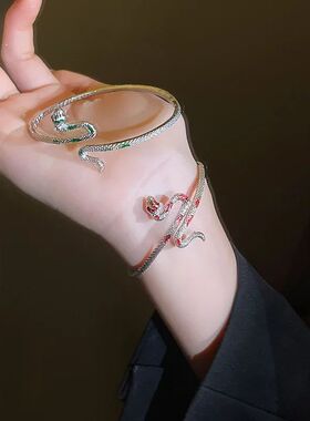 Hiphop Punk Silver Color Snake Shape Bracelet for Women Fash