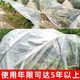 Special plastic film for vegetable greenhouses to keep warm and cold-proof