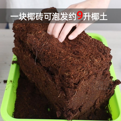 椰砖营养土养花阳台种菜脱盐种植椰土通用型土壤椰糠清仓特价耶砖 - 图1