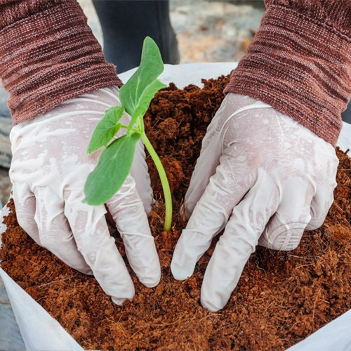 椰砖营养土养花阳台种菜脱盐种植椰土通用型土壤椰糠清仓特价耶砖 - 图2