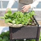 Balcony rooftop vegetable growing artifact resin PP