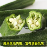 Саженцы овощей в четырех сезонах горшечной фруктовой бамии