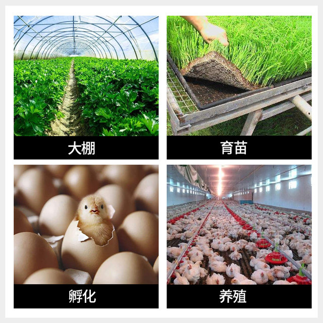 Vegetable greenhouse seedlings smart set floor hotline