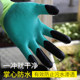 Gardening gloves are puncture-proof, waterproof, labor protection, work-wearing, floral gloves, garden-proof, puncture-proof, planting and weeding special
