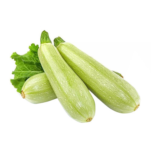 西葫芦种子苗高产秧四季盆栽西胡芦种籽蔬菜夏季香蕉大全瓜孑瓜苗 - 图3