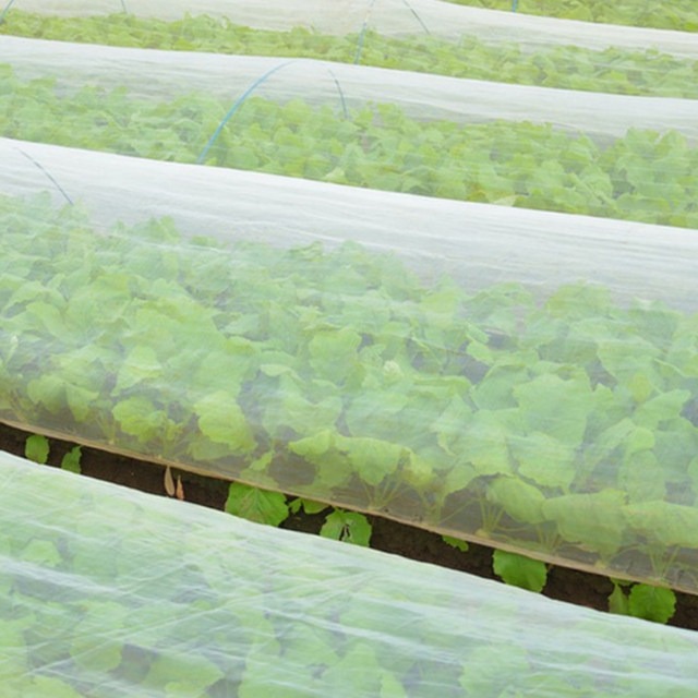 Special insect-proof net for growing vegetables is encrypted and thickened