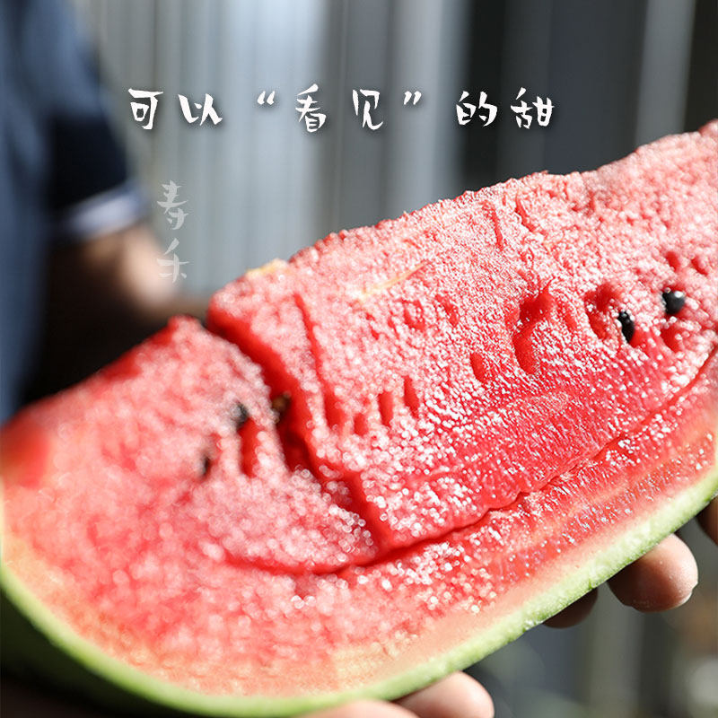 早春红玉小西瓜种子种籽孑嫁接苗高产2k南方四季苗秧盆栽种植秧苗,淘宝优惠券,粉丝福利购,淘宝优惠卷