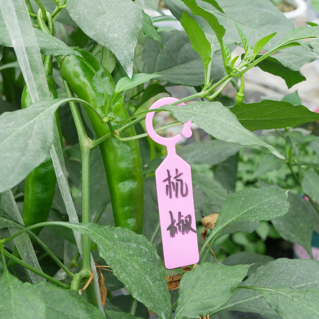 Gardening thickened waterproof plastic flower name tag