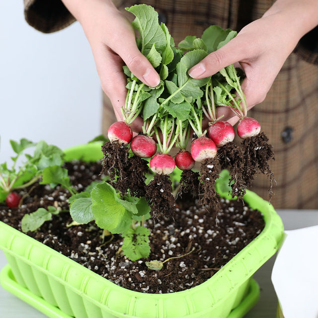 Long-shaped flower planting pot with tray for injection molding