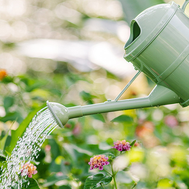 Vegetable garden watering kettle for household use for watering vegetables and flowers